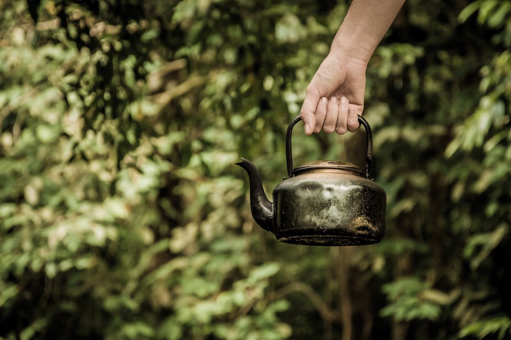 CBD tea, garden, tea kettle, outdoors, tea lover, health benefits